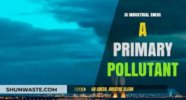 Industrial Smog: Primary Pollutant or Complex Issue?