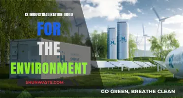 Industrialization's Environmental Impact: Balancing Progress and Ecological Sustainability