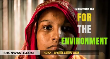 Inequality's Environmental Impact: How Social Disparity Harms Our Planet
