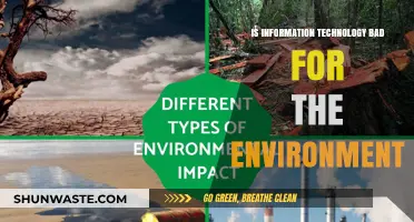 Is IT Eco-Friendly? Exploring Technology's Environmental Impact and Solutions