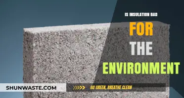 Is Insulation Eco-Friendly? Environmental Impact and Sustainable Alternatives
