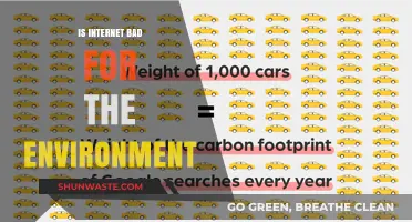 The Environmental Impact of the Internet: A Hidden Carbon Footprint?
