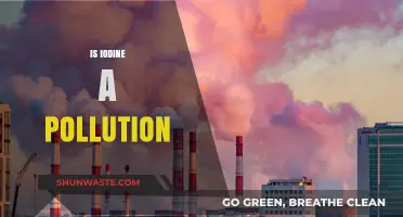 Iodine: A Double-Edged Sword in Our Environment