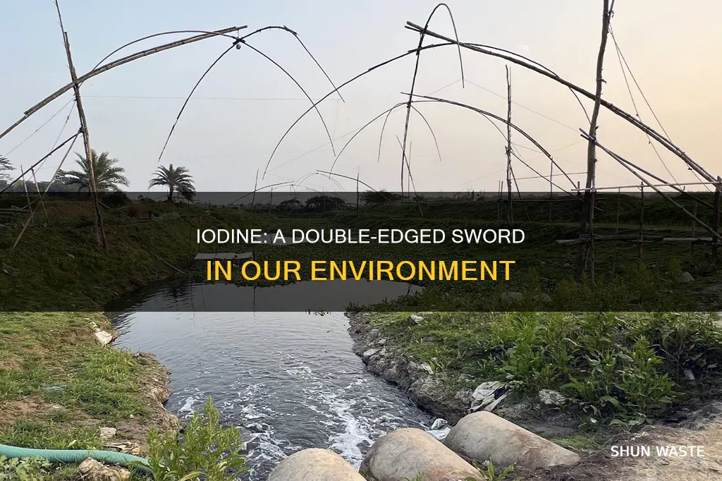 is iodine a pollution