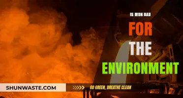 Iron's Environmental Impact: Uncovering Its Ecological Footprint and Sustainability