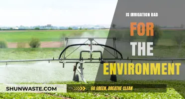 Irrigation's Environmental Impact: Sustainable Practices vs. Ecological Consequences
