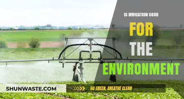 Irrigation's Environmental Impact: Benefits, Challenges, and Sustainable Practices