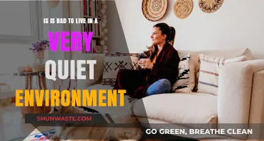 Living in Silence: The Pros and Cons of Quiet Environments