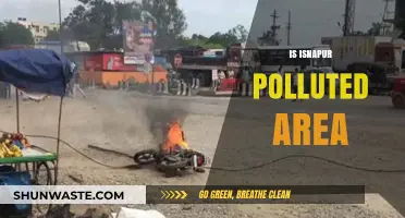 Isnapur's Pollution Problem: A Critical Analysis