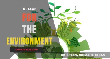 Eco-Friendly Choices: Are They Truly Beneficial for Our Environment?