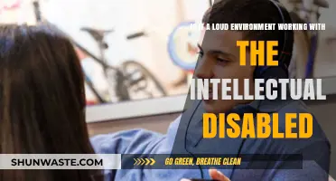 Working with the Intellectually Disabled: Navigating Noise Levels in Care Environments