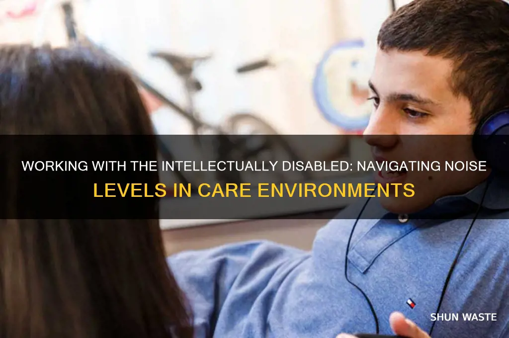 is it a loud environment working with the intellectually disabled