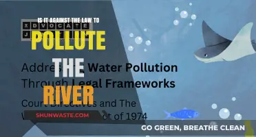 River Pollution: What Does the Law Say?
