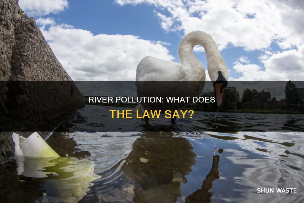 is it against the law to pollute the river