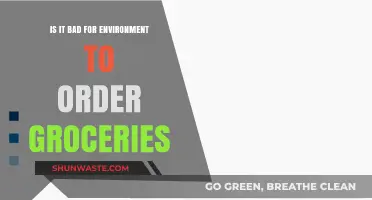 Eco-Impact of Online Grocery Shopping: Sustainable or Harmful?