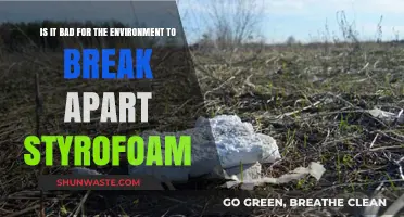Breaking Styrofoam: Environmental Impact and Sustainable Alternatives Explored