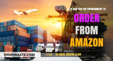 Amazon's Environmental Impact: Unpacking the Eco-Cost of Online Shopping