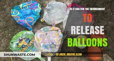 Releasing Balloons: Environmental Impact and Sustainable Alternatives Explored