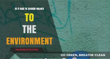 Assigning Values to the Environment: Ethical or Harmful Practice?