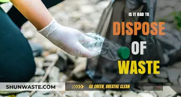 The Environmental Impact of Waste Disposal: A Comprehensive Guide