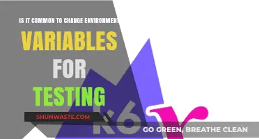 Changing Environment Variables for Testing: A Common Practice?
