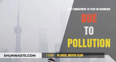 Shanghai's Pollution: Is It Safe to Stay?