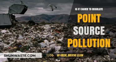 Controlling Point Source Pollution: An Easier Regulatory Challenge?