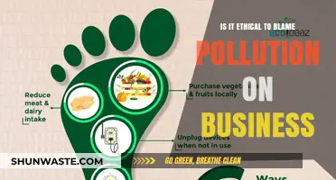 Business Pollution: Ethical Blame or Convenient Scapegoat?