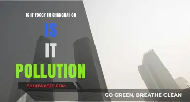 Shanghai's Fog or Pollution: What's the Difference?
