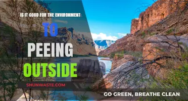 Eco-Friendly Relief: The Environmental Impact of Peeing Outdoors