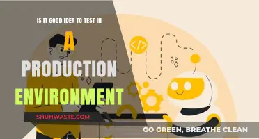 Testing in Production: Risky Move or Smart Strategy?