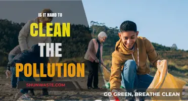 Cleaning Pollution: A Tough Task?