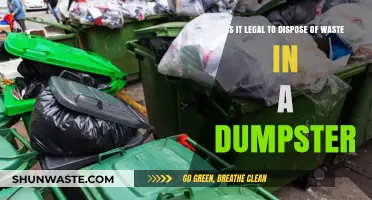 The Legalities of Dumpster Disposal: What You Need to Know