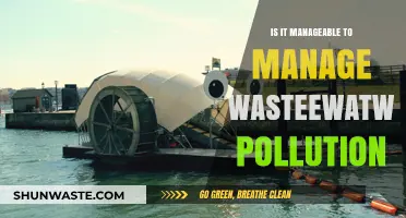 Managing Wastewater Pollution: Is It Possible?