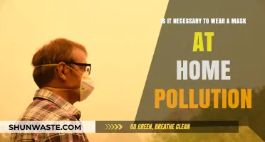 Masks: Protecting Yourself from Home Pollution
