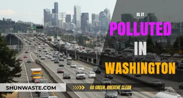 Washington's Air Quality: A Pollution Concern?