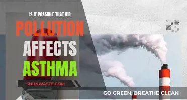 Air Pollution and Asthma: A Complex Relationship?