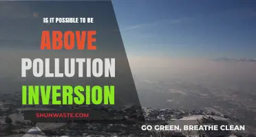 Beat Pollution Inversion: Breathe Easy Above the Smog