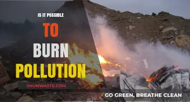 Burning Pollution: A Solution or More Problems?
