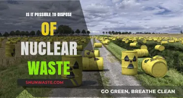 Decoding the Dilemma: Can We Ever Truly Dispose of Nuclear Waste?