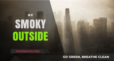 Air Quality Alert: Smoky Haze Blankets the City