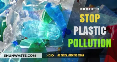 Can We Still Stop Plastic Pollution?