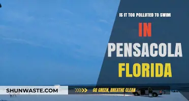 Pensacola's Waters: Safe Swimming or Polluted?