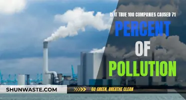 The Shocking Truth: 100 Companies' Impact on Global Pollution