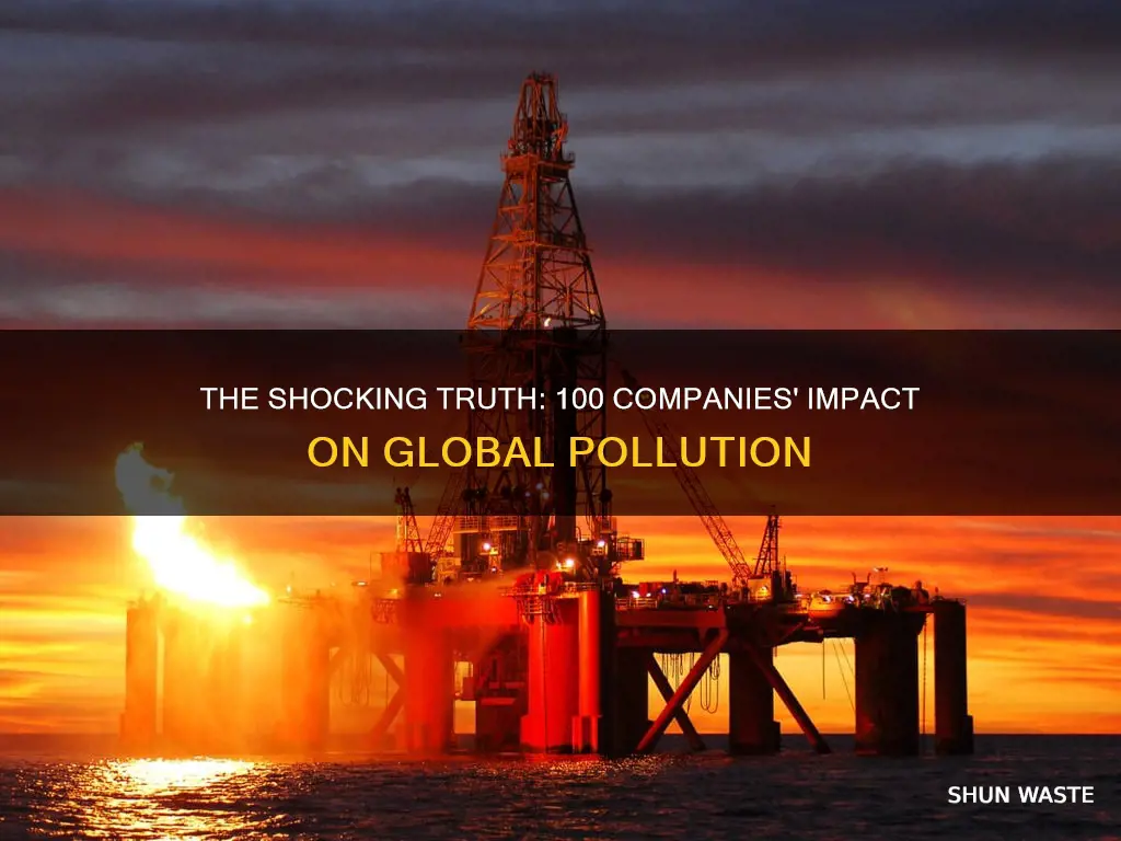 is it true 100 companies caused 71 percent of pollution