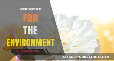 Is Ivory Soap Eco-Friendly? Environmental Impact Explained