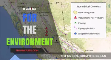 Jade's Environmental Impact: Uncovering the Hidden Costs of a Precious Stone