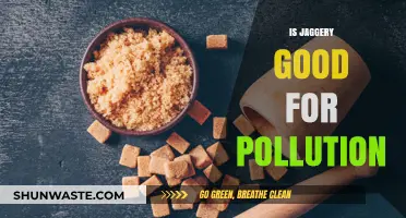 Jaggery: A Natural Remedy for Pollution?