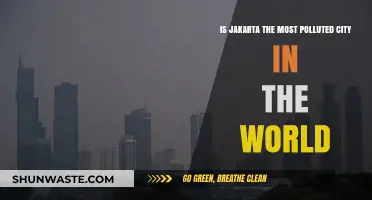 Jakarta's Pollution Crisis: World's Worst?