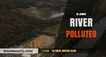 James River Pollution: Is It Safe?